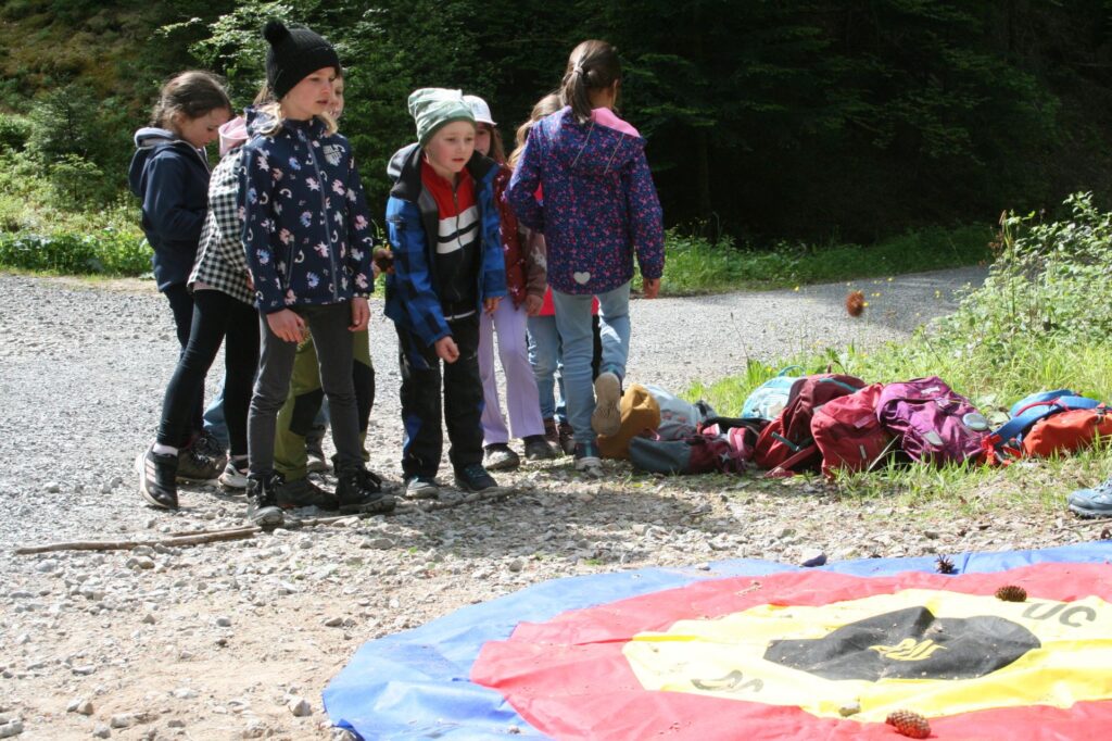 Kinder beim Tannenzapfenzielwurf