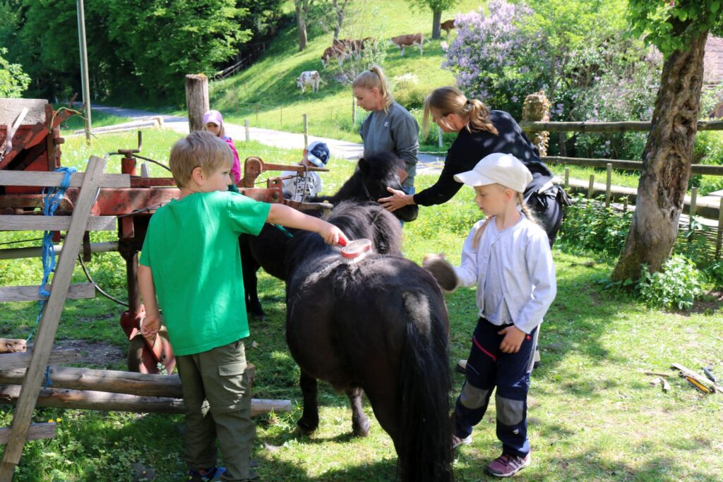 Kinder beim Pony-striegeln