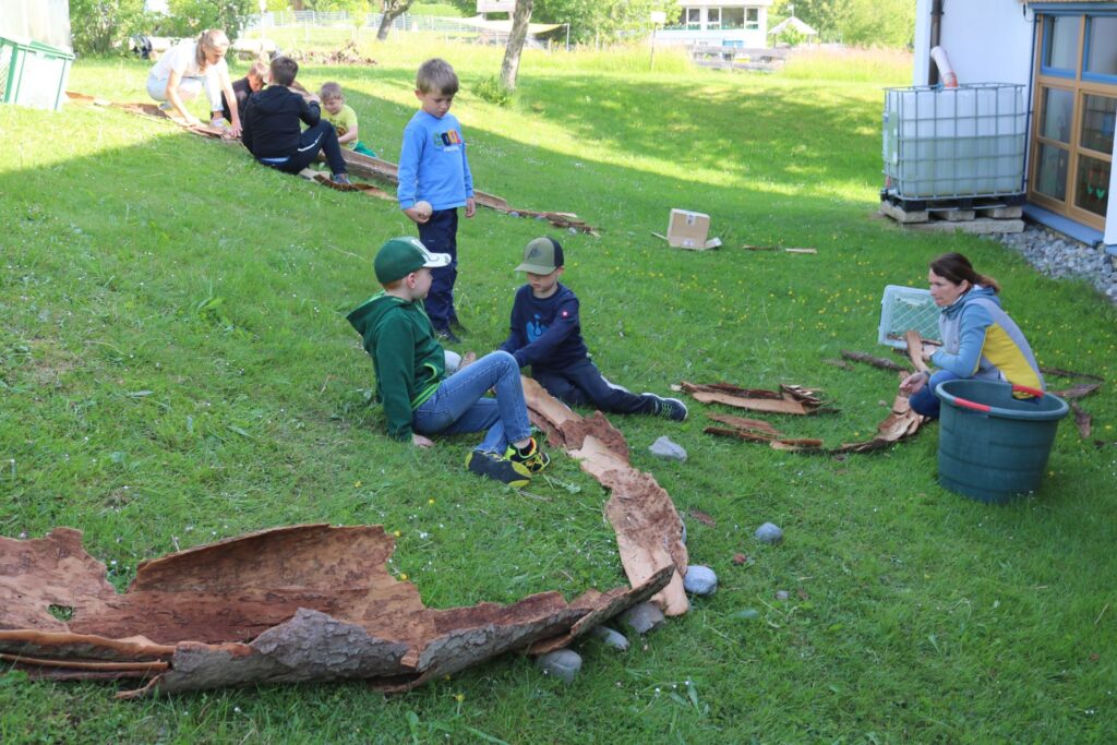 Die Kinder haben am Hang eine tolle Murmelbahn aus RInde gebaut