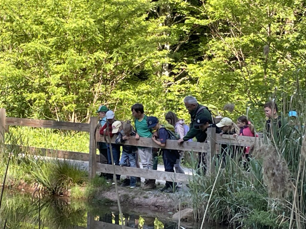 Mehrere Kinder mit Naturparkführer Walter Hieber auf der Brücke am Waldsee.