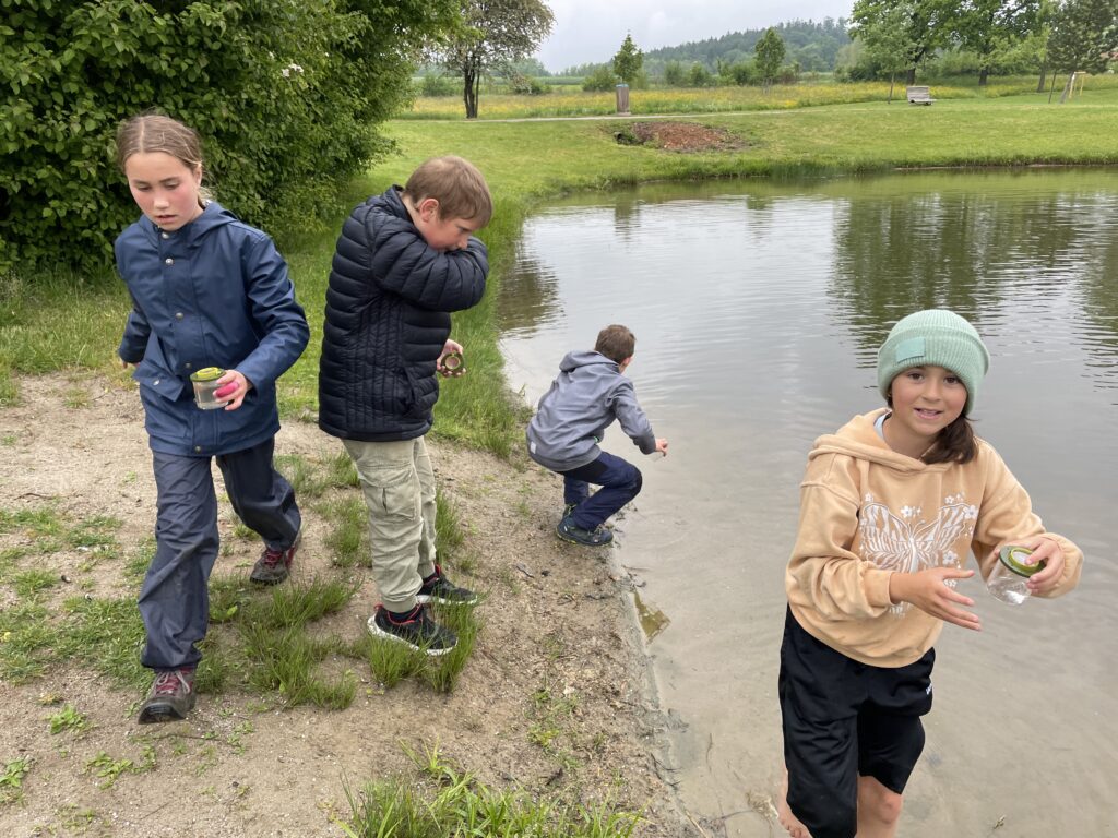 Vier Kinder untersuchen mit Becherlupen das Gewässer des Sees