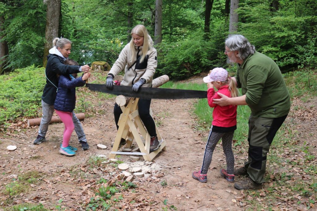 Mit Unterstützung von Eltern und Lehrern wird mit einer Zweihandsäge ein Stück von einem dicken Ast abgesägt.
