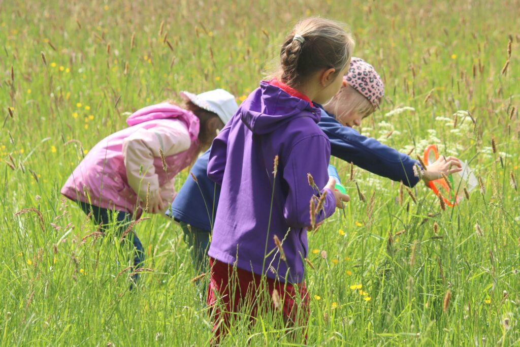 Drei Kinder suchen auf der Wiese nach Insekten.