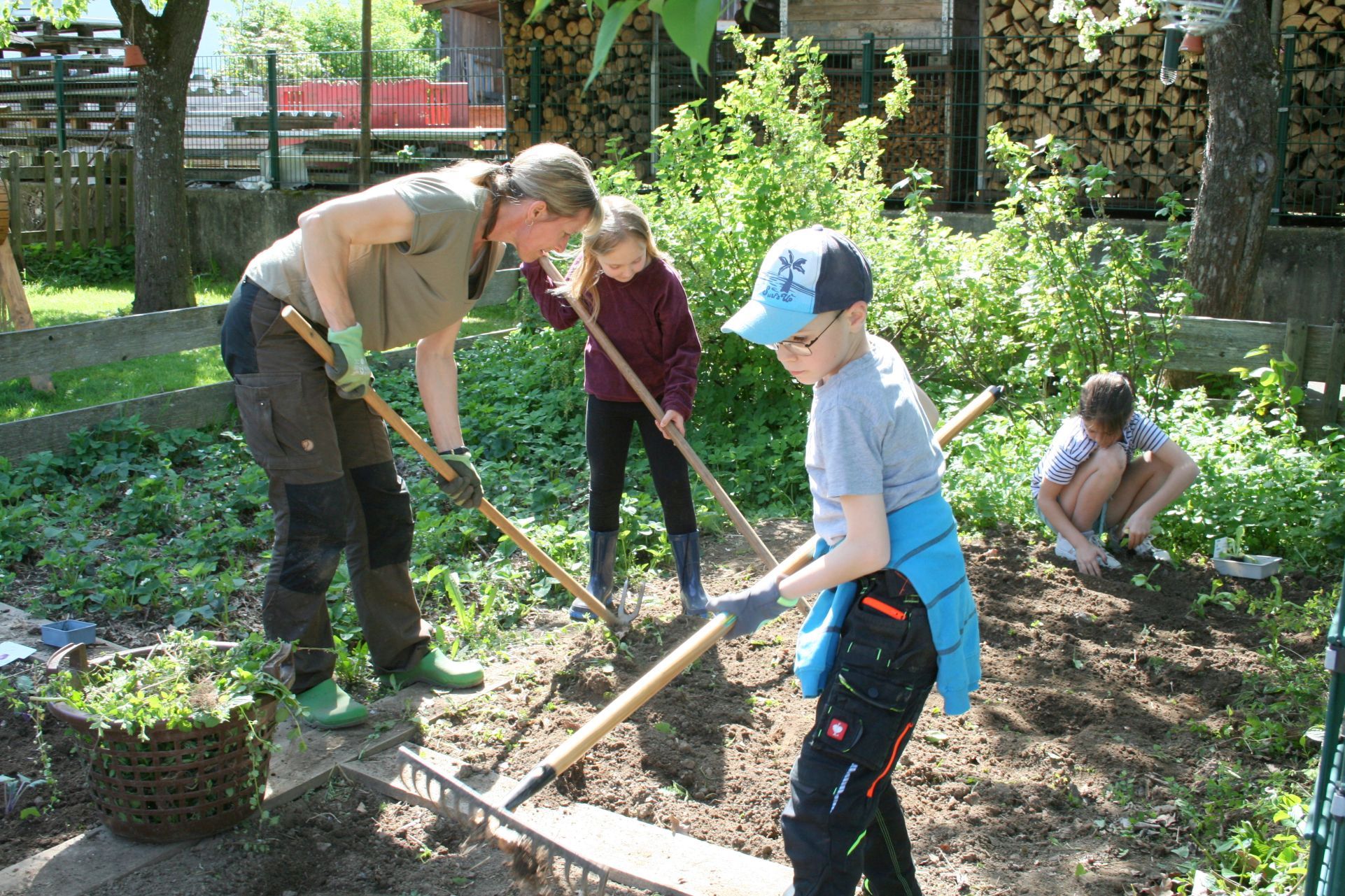 Frau Wiedmann und zwei Kinder bearbeiten den Boden im Schulgarten.