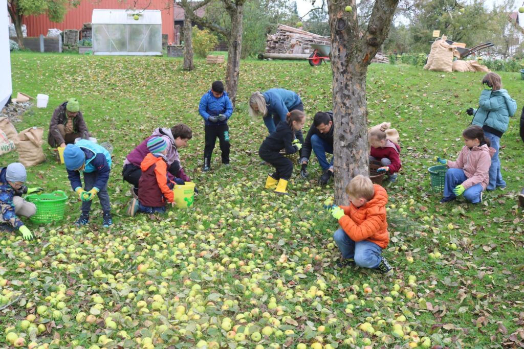 Kinder, Eltern und Lehrer beim Äpfelauflesen