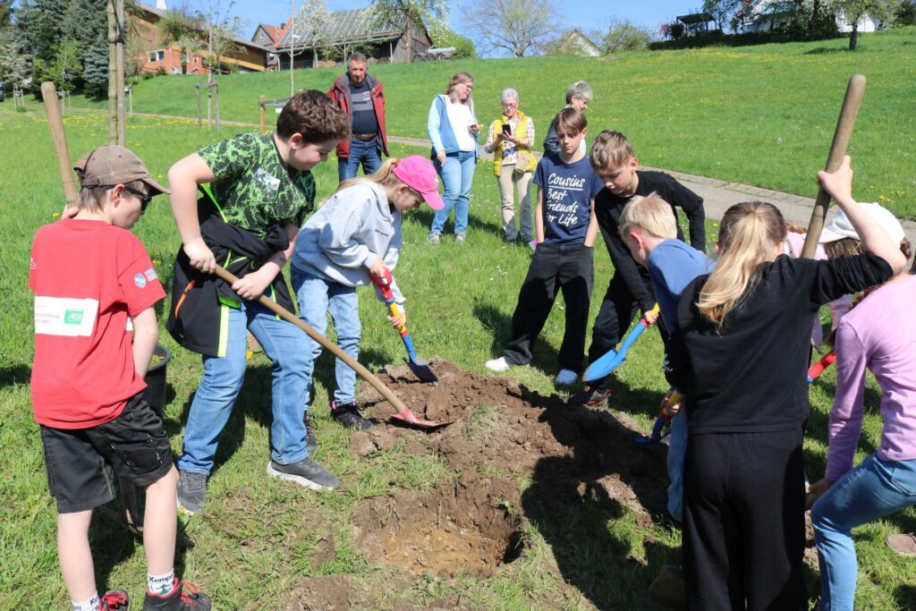 Die Kinder graben mit ihren Schaufeln ein Loch für die Kornellkirsche.