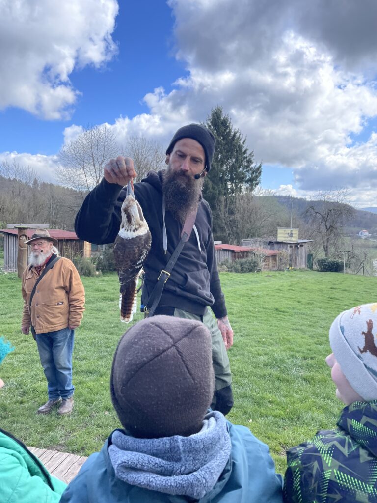 Der Falkner präsentiert den Kindern die Tiere